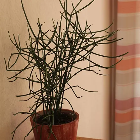 Гостевой дом Goeke 3*