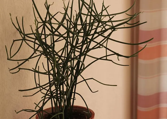 بيت ضيافة Goeke 3*