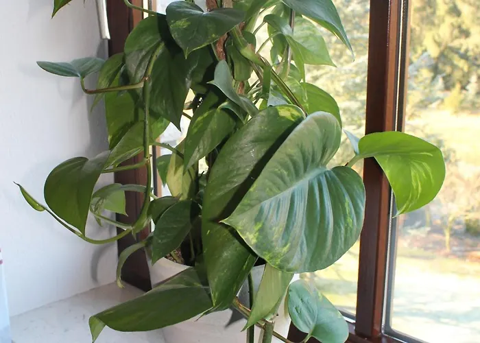 Gæstehus Goeke Hövelhof